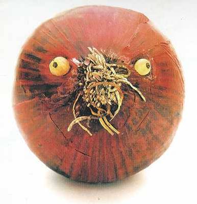 onion face