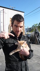 sylar and a cat