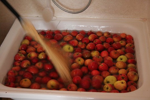 Wash more apples