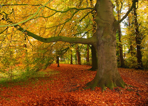 Autumn Is Archive Page 3 Abraham Hicks Discussion