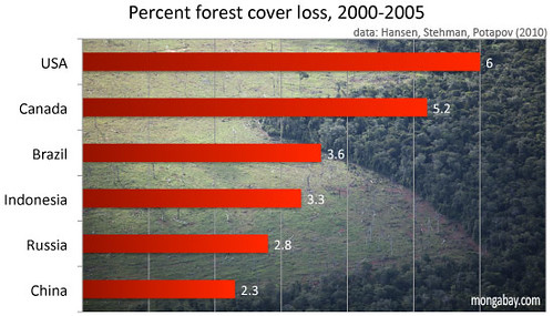 Global Forest loss