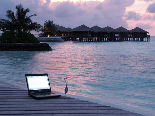 Photograph of a laptop computer on a tropical island