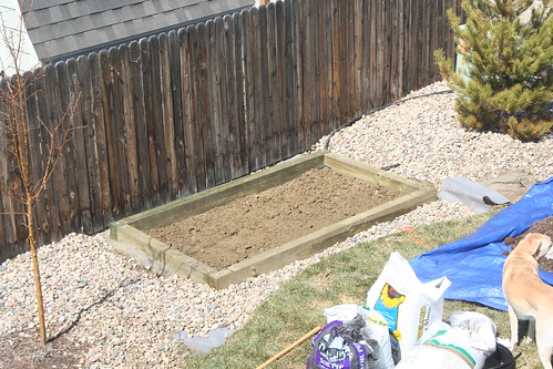2008-03-23_02_the_planting_bed