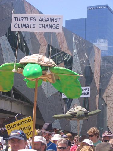 Turtle power at Walk Against Warming – Melbourne
