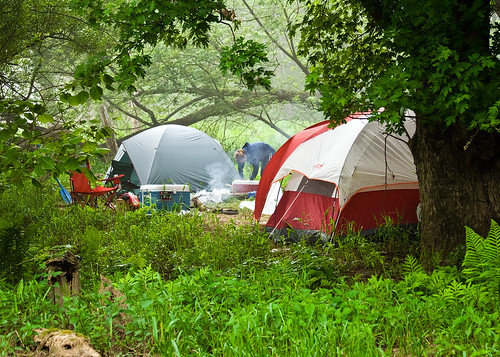 The Campsite in Morning