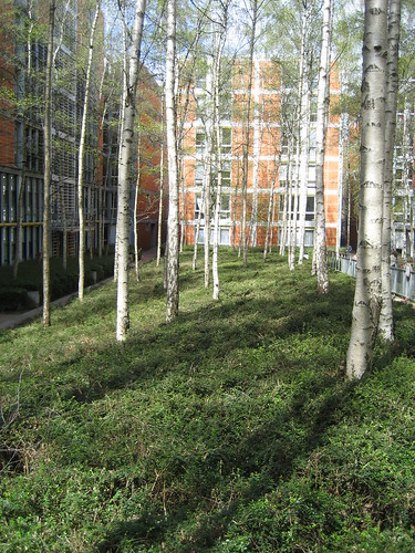 Renzo Piano's Rue de Meaux housing project