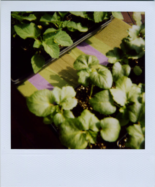 may30: plants