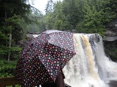 Water Fall and  Polka Dot Umbrella