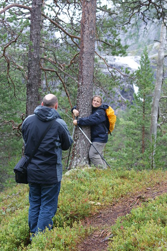 Back from hugging trees in Norway