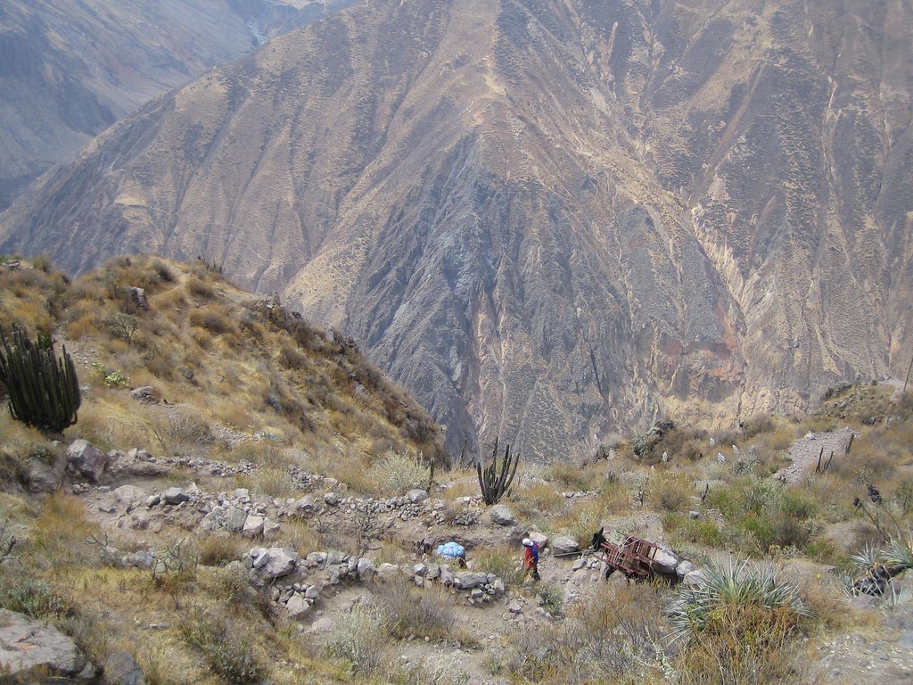 Cabanaconde to the Sangalle Oasis Trail, Peru