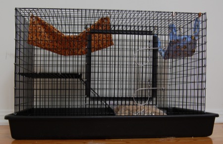 My new rat cage