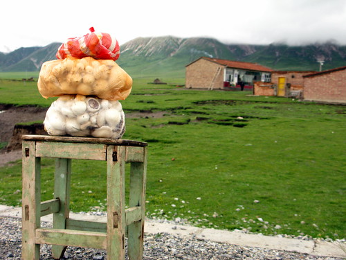Mushrooms for sale on roadside on Qinghai Highway 204, Qinghai Province, China