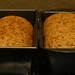 Sourdough Loaves 04