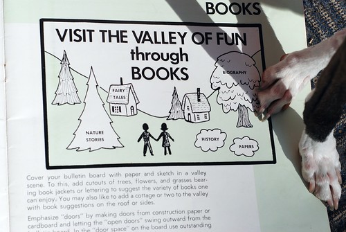 Visit The Valley Of Fun