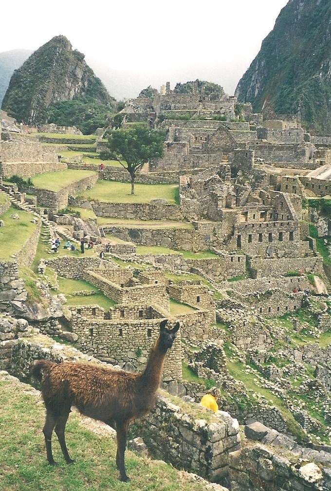 Machu Pichu (11)
