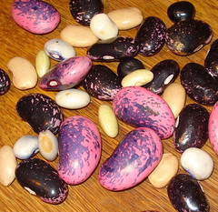 Beautiful beans