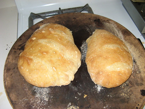 Finished mutant loaves