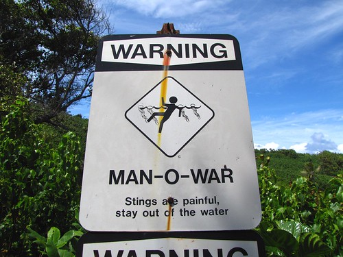 man-o-war sign