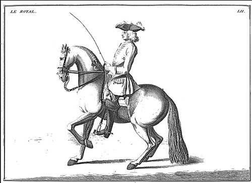 11-Recular el caballo con el cabezal