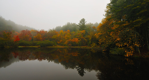 Early Fall Misty Reflections