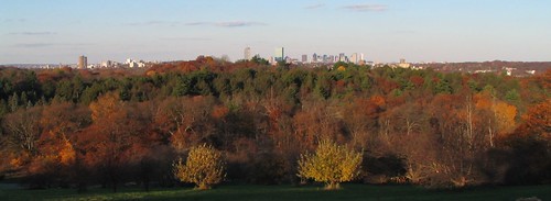Arnold Arboretum: View from Peter Hill