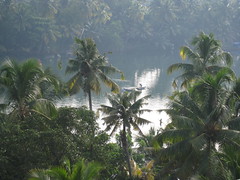 View from ashram room - Kerela