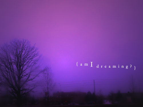 areyoudreaming2