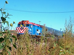 Eastbound Metra / Union Pacific west line train passing through the weeds alongside the Union Pacific M-19A diesel shop. Chicago Illinois. October 2006.