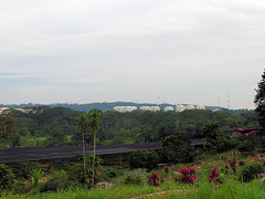 Gombak from Track 14