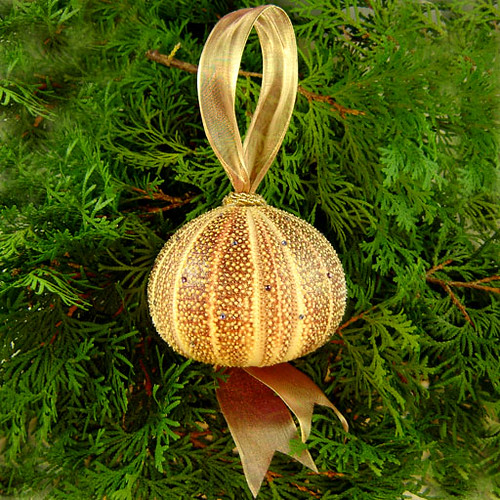English Sea Urchin Ornament
