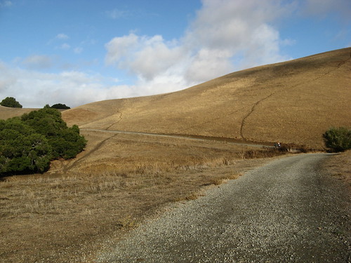 Golden Hills on the High Ridge Trail Loop