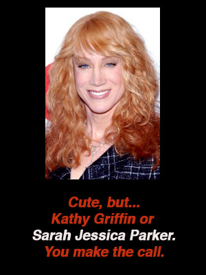 kathy-griffin-sarah-jessica-parker-lookalike