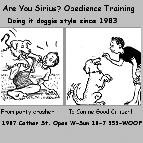 elaine richards, obedience training