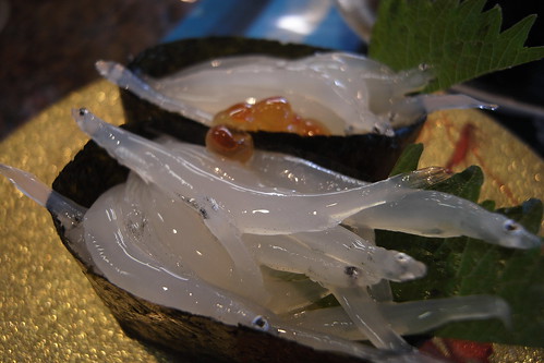 きときと寿司氷見本店 白魚