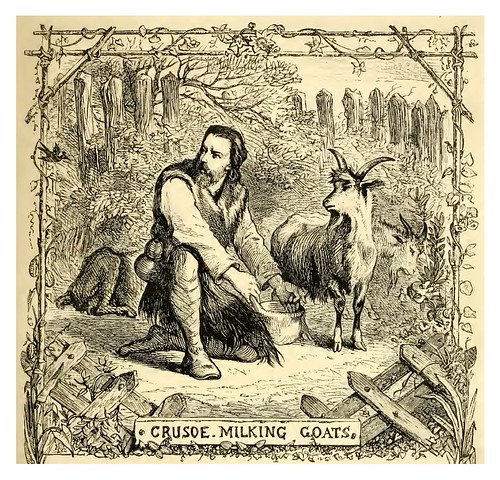 14- Crusoe ordeña las cabras