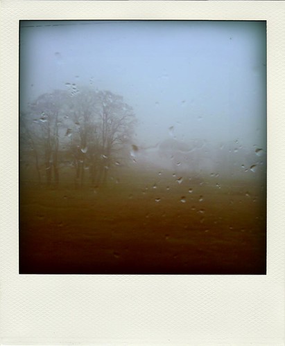 foggy morning drive