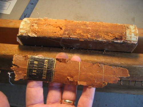 A removed spine