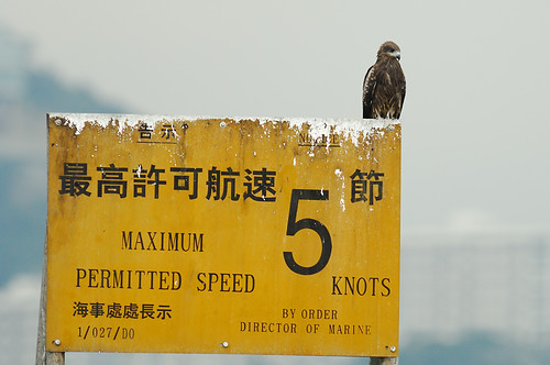 20080906_DSC_0436 (by isaac_chan)