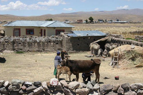 Primitive settlement on my way to Puno...