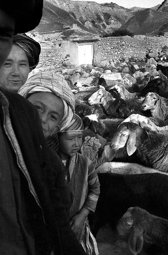 "Four Uzbek Sheepherders"