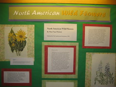 North American Wild Flowers exhibit