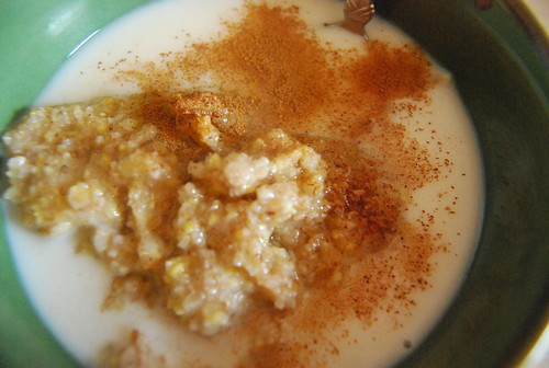 Porridge with almond milk and cinnamon
