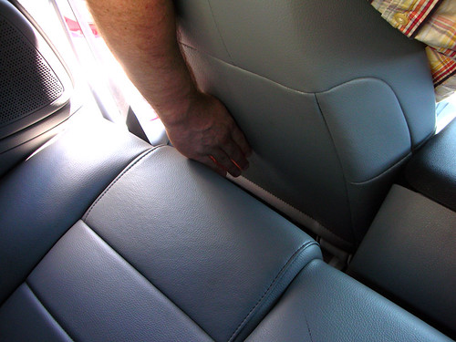Mustang Backseat
