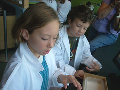 young scientists