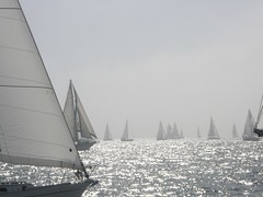 Better Sail Boat Picture