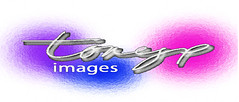 logo2006 copy