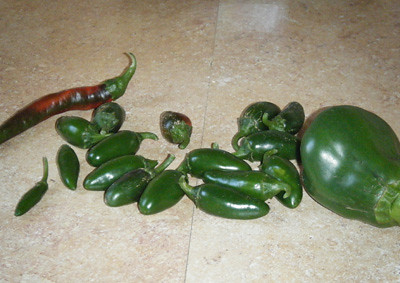Peppers harvested from the garden.