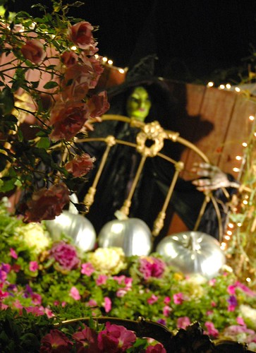 Happy Dreams! Bed of Roses and Pumpkins, Halloween Witch, Mill Rose Inn, Half Moon Bay, California, USA by Wonderlane