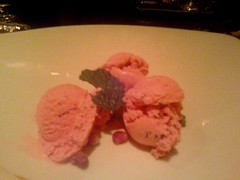 Pomegranate Chocolate Chip Mint Ice Cream