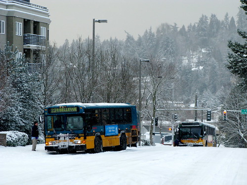 Bellevue Buses in snow